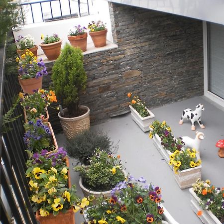 Hotel Santa Apolonia Bragança Eksteriør billede